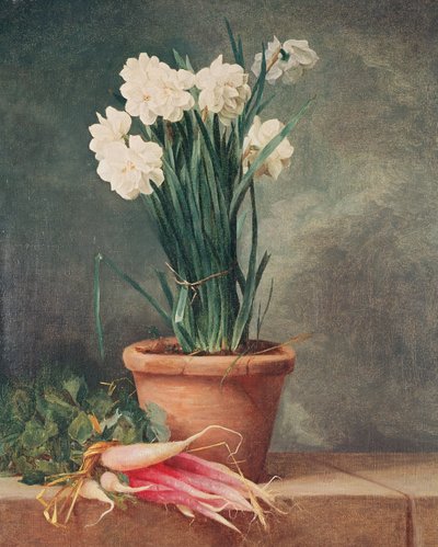 Narcissus and Radishes by Henri Roland de la Porte